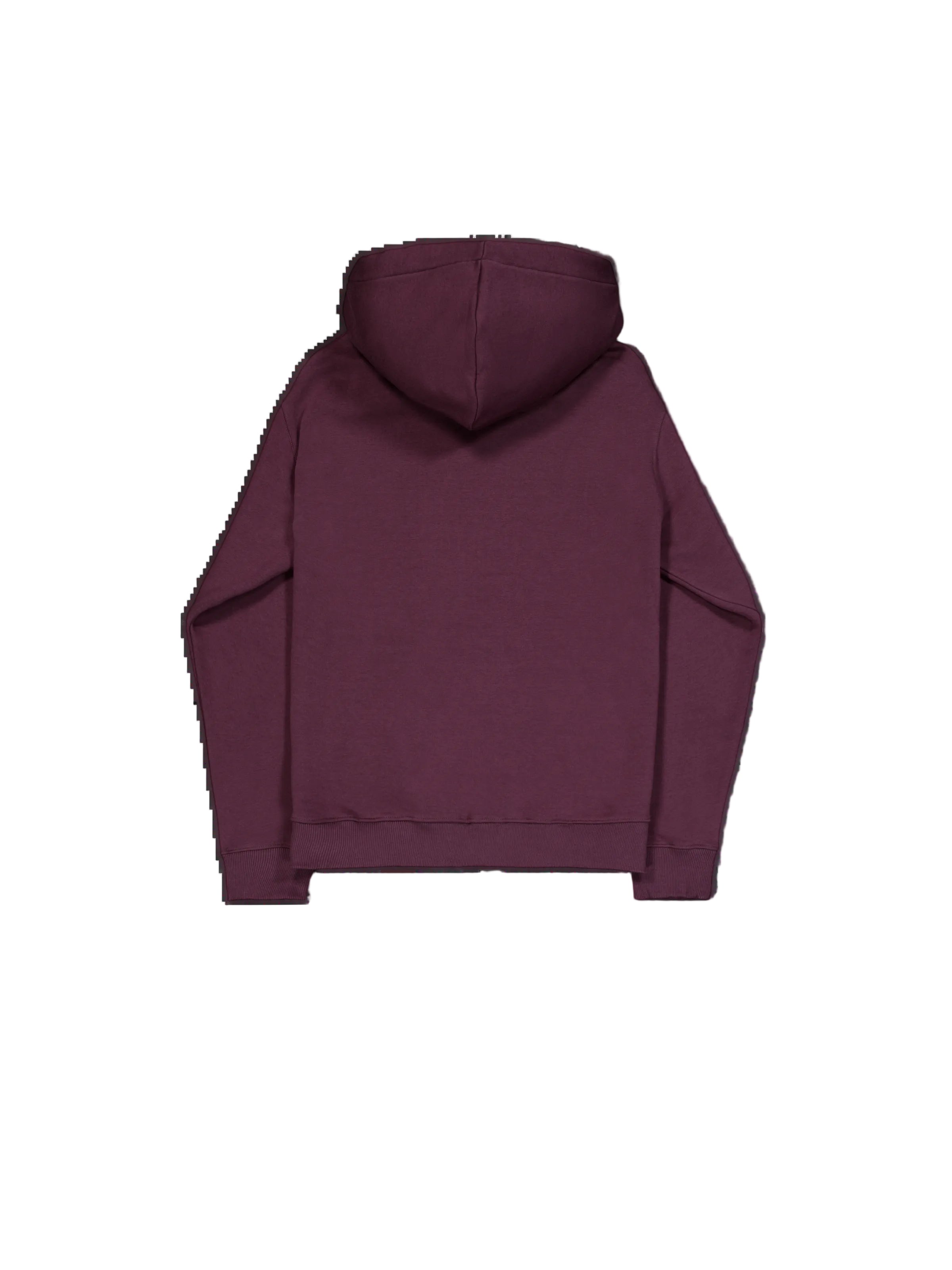 Alpha Puff Print Hoodie